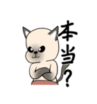 シャム猫の恋人（個別スタンプ：8）