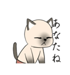 シャム猫の恋人（個別スタンプ：13）