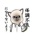 シャム猫の恋人（個別スタンプ：15）