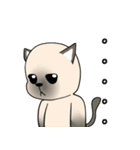 シャム猫の恋人（個別スタンプ：19）