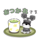 全肯定シュナウザー犬（個別スタンプ：1）