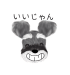 全肯定シュナウザー犬（個別スタンプ：12）