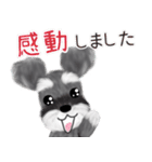 全肯定シュナウザー犬（個別スタンプ：13）