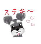 全肯定シュナウザー犬（個別スタンプ：14）