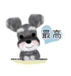 全肯定シュナウザー犬（個別スタンプ：15）