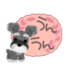 全肯定シュナウザー犬（個別スタンプ：19）