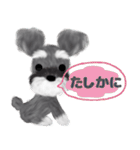 全肯定シュナウザー犬（個別スタンプ：25）