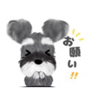 全肯定シュナウザー犬（個別スタンプ：28）