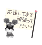 全肯定シュナウザー犬（個別スタンプ：31）