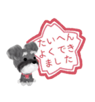全肯定シュナウザー犬（個別スタンプ：34）