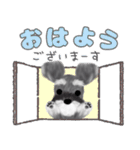 全肯定シュナウザー犬（個別スタンプ：35）