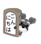 全肯定シュナウザー犬（個別スタンプ：36）