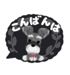全肯定シュナウザー犬（個別スタンプ：37）