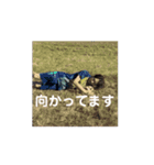 動く！ 2-6 ち（個別スタンプ：9）