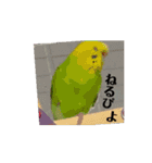 ぴよまる一家スタンプ（個別スタンプ：4）