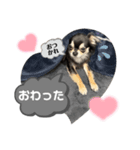 チクワのきもち11（個別スタンプ：2）