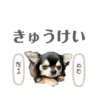 チクワのきもち11（個別スタンプ：3）