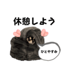 チクワのきもち11（個別スタンプ：4）