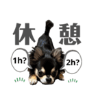 チクワのきもち11（個別スタンプ：7）