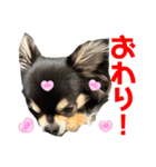チクワのきもち11（個別スタンプ：8）