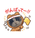 猫のダム①（個別スタンプ：12）