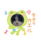 猫のダム①（個別スタンプ：13）