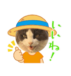 猫のダム①（個別スタンプ：18）