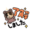 猫のダム①（個別スタンプ：20）