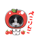 猫のダム①（個別スタンプ：21）