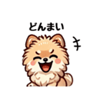 ふわもこポメラニアンのきもち（個別スタンプ：13）