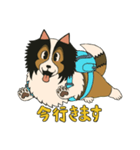 シェルティのジョナサン トークスタンプ（個別スタンプ：2）