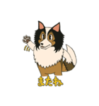 シェルティのジョナサン トークスタンプ（個別スタンプ：3）