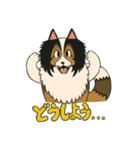 シェルティのジョナサン トークスタンプ（個別スタンプ：4）