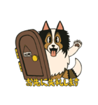 シェルティのジョナサン トークスタンプ（個別スタンプ：7）