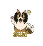 シェルティのジョナサン トークスタンプ（個別スタンプ：8）