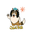 シェルティのジョナサン トークスタンプ（個別スタンプ：12）