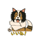 シェルティのジョナサン トークスタンプ（個別スタンプ：15）