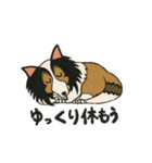 シェルティのジョナサン トークスタンプ2（個別スタンプ：8）