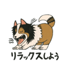 シェルティのジョナサン トークスタンプ2（個別スタンプ：9）