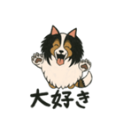 シェルティのジョナサン トークスタンプ2（個別スタンプ：14）