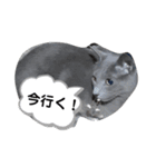 使いやすいアロンのスタンプ（個別スタンプ：1）