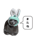 使いやすいアロンのスタンプ（個別スタンプ：23）