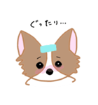 チワワのにこたん（個別スタンプ：7）