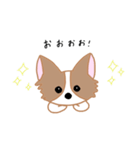 チワワのにこたん（個別スタンプ：8）