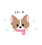 チワワのにこたん（個別スタンプ：9）
