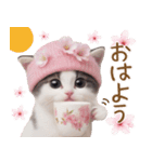 可愛いハチワレ猫 春を感じる思いやり（個別スタンプ：1）
