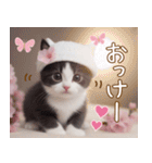 可愛いハチワレ猫 春を感じる思いやり（個別スタンプ：7）