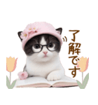 可愛いハチワレ猫 春を感じる思いやり（個別スタンプ：8）