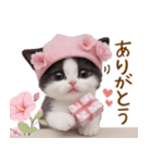 可愛いハチワレ猫 春を感じる思いやり（個別スタンプ：9）