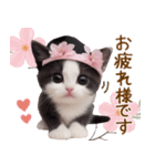 可愛いハチワレ猫 春を感じる思いやり（個別スタンプ：12）